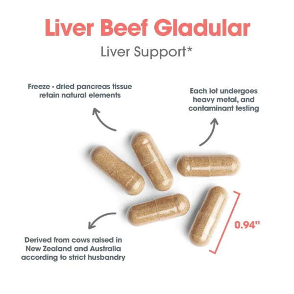 70470-4 Liver Beef Glandular