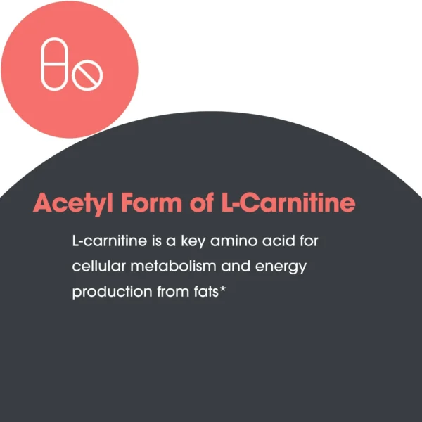70660-3 Acetyl Form of L Carnitine