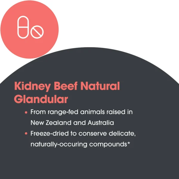 72800-3 Kedney Beef Natural Glandular