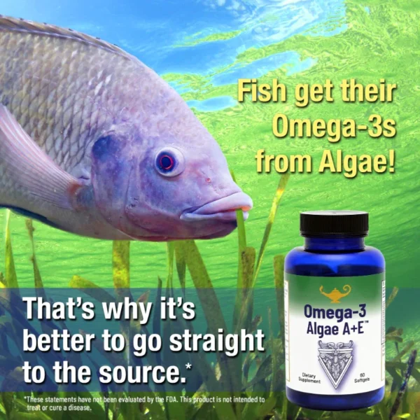 Vegan Source of Omegas Omega 3 Algae A + E