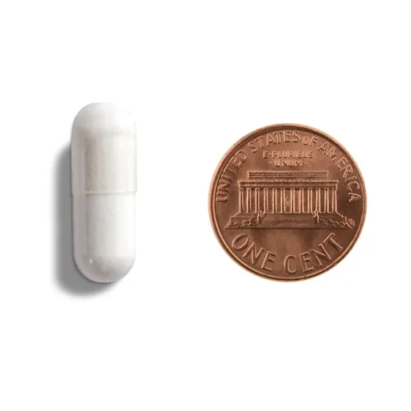 L-Lysine Capsules cap size 020094d.090