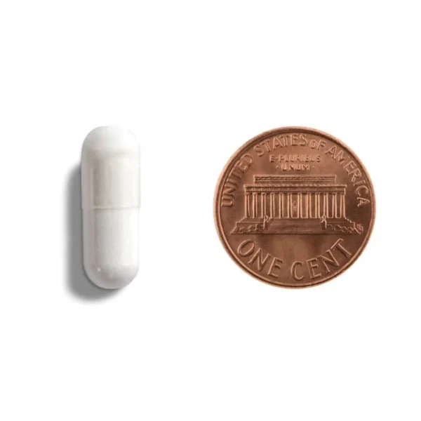 L-Theanine capsule size