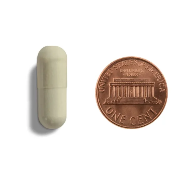 Multi Phase Detox cap size