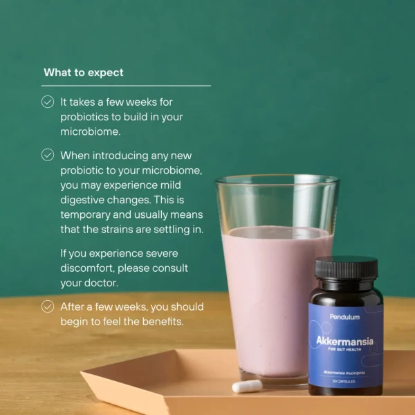 Akkermansia Probiotic - Image 3