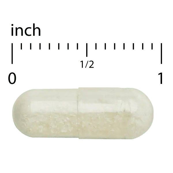 Immunopleuran Upper Respiratory Health Extra Strength Capsule size