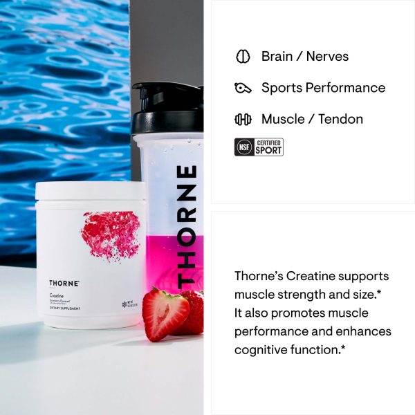 Thorne Creatine - Strawberry Muscle, Brain/Nerves support SF905