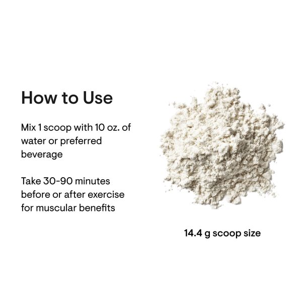 Creatine + BCAAs How to Use